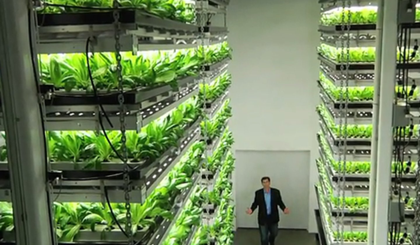 <p>(rolnictwo wertykalne) - Growing crops indoors using controlled conditions.</p>