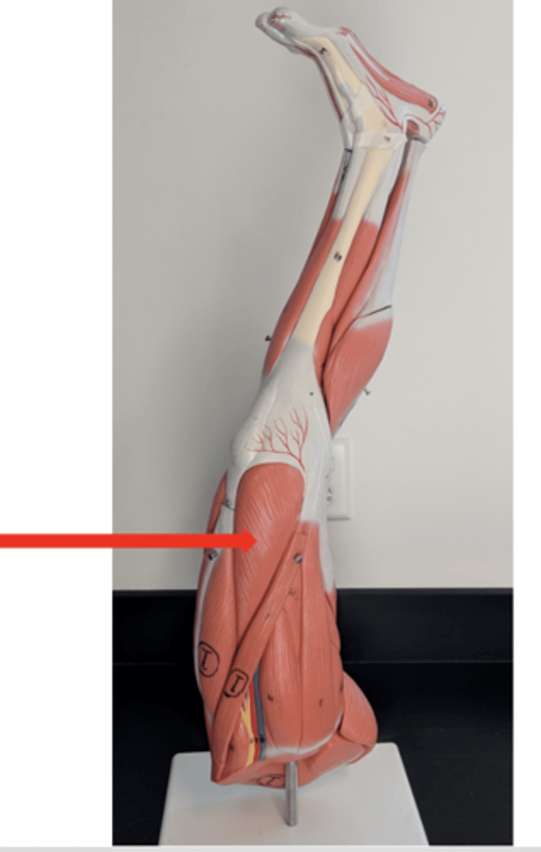 <p>what is this?</p>