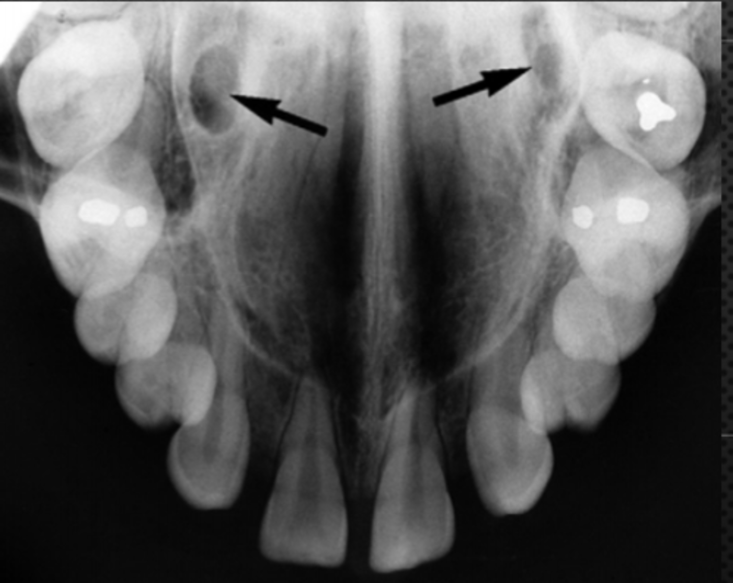 <p>Identify the structure</p>