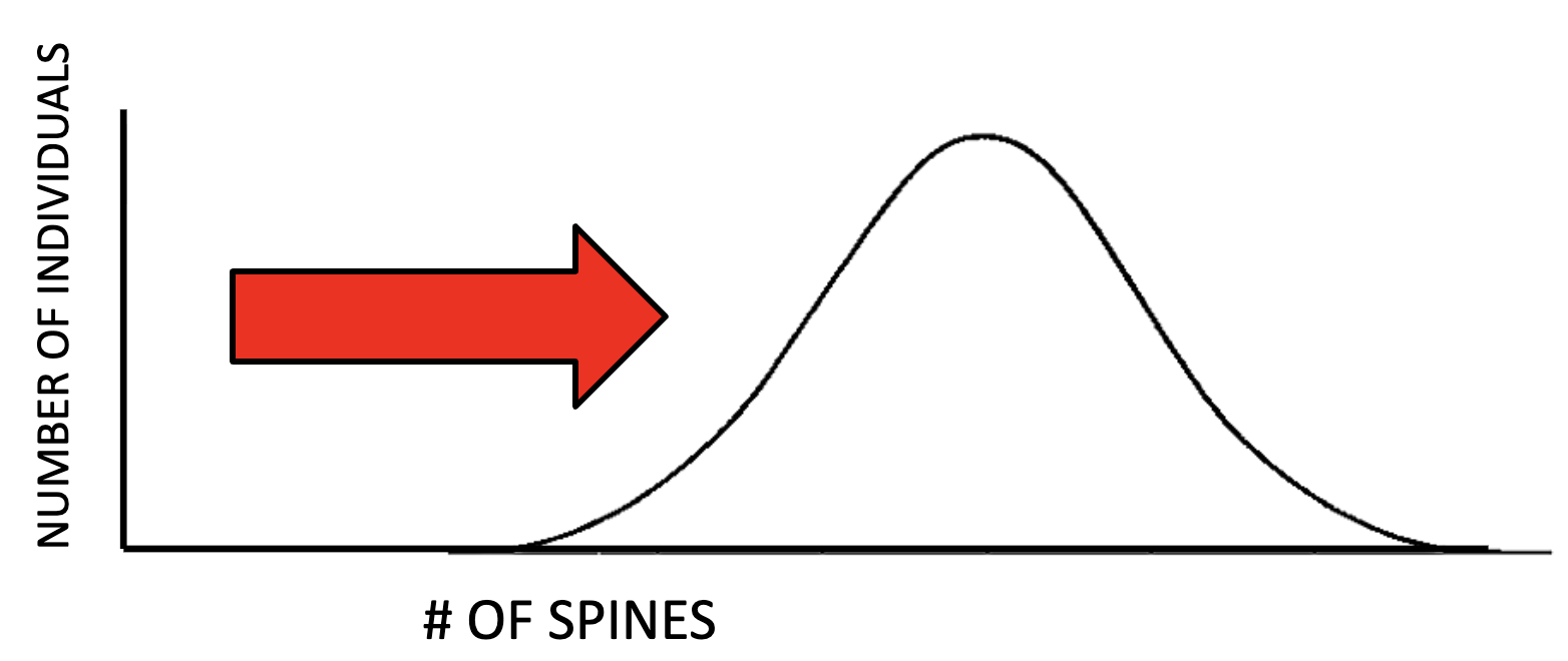 <p><span><span>Acts against one side(trait), it does poorly, the other side does well or is favored, causing a shift</span></span></p>