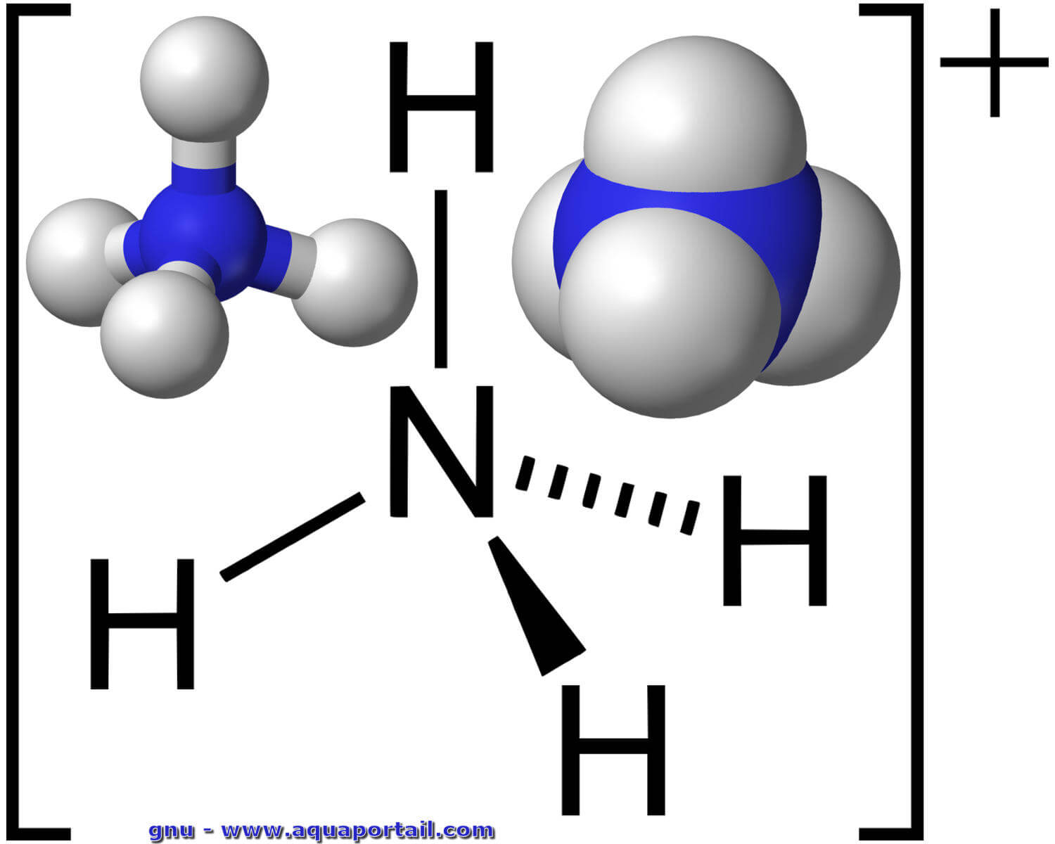 <p>NH<sub>4</sub><sup>+</sup></p>