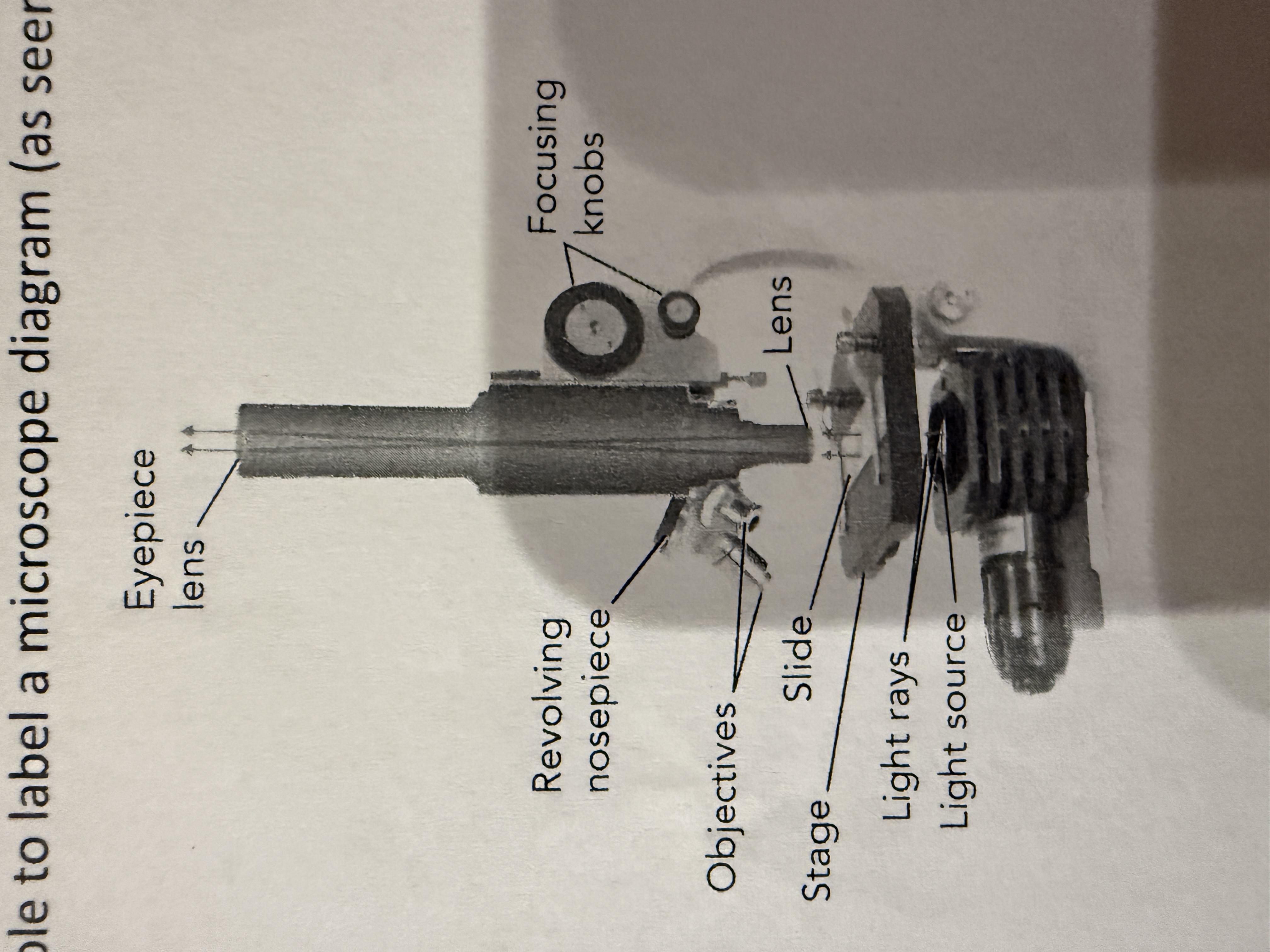 knowt flashcard image