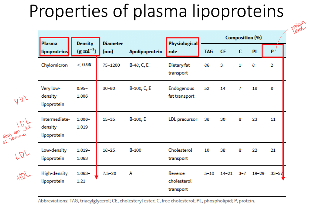 <p>Core built by hydrophobic lipids that is surrouded by polar lipids and proteins. </p><ul><li><p>Important for transport of hydrophobic molecules and cholesterol homeostasis (maintain stable conditions in the cells). </p></li><li><p>Classified according to density, different classes has different roles. The class can be shifted by picking / releasing cargos.  </p></li></ul><p></p>