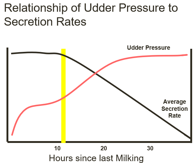 <p><span>2X milking (two times each day) is most common</span></p><p><span>3X produces 10-15% more per cow per day</span></p><p><span>Farms make this decision based on herd size/parlor size, feeding program, labor availability, etc.</span></p>