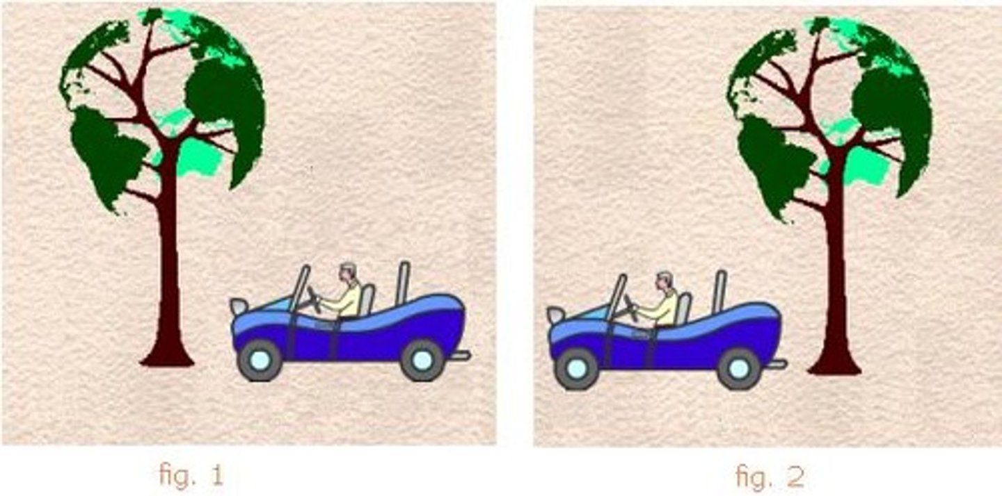 <p>To tell if the car is in motion you use the tree as a:</p>