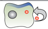 <p>What kind of chemical signaling is this?</p>