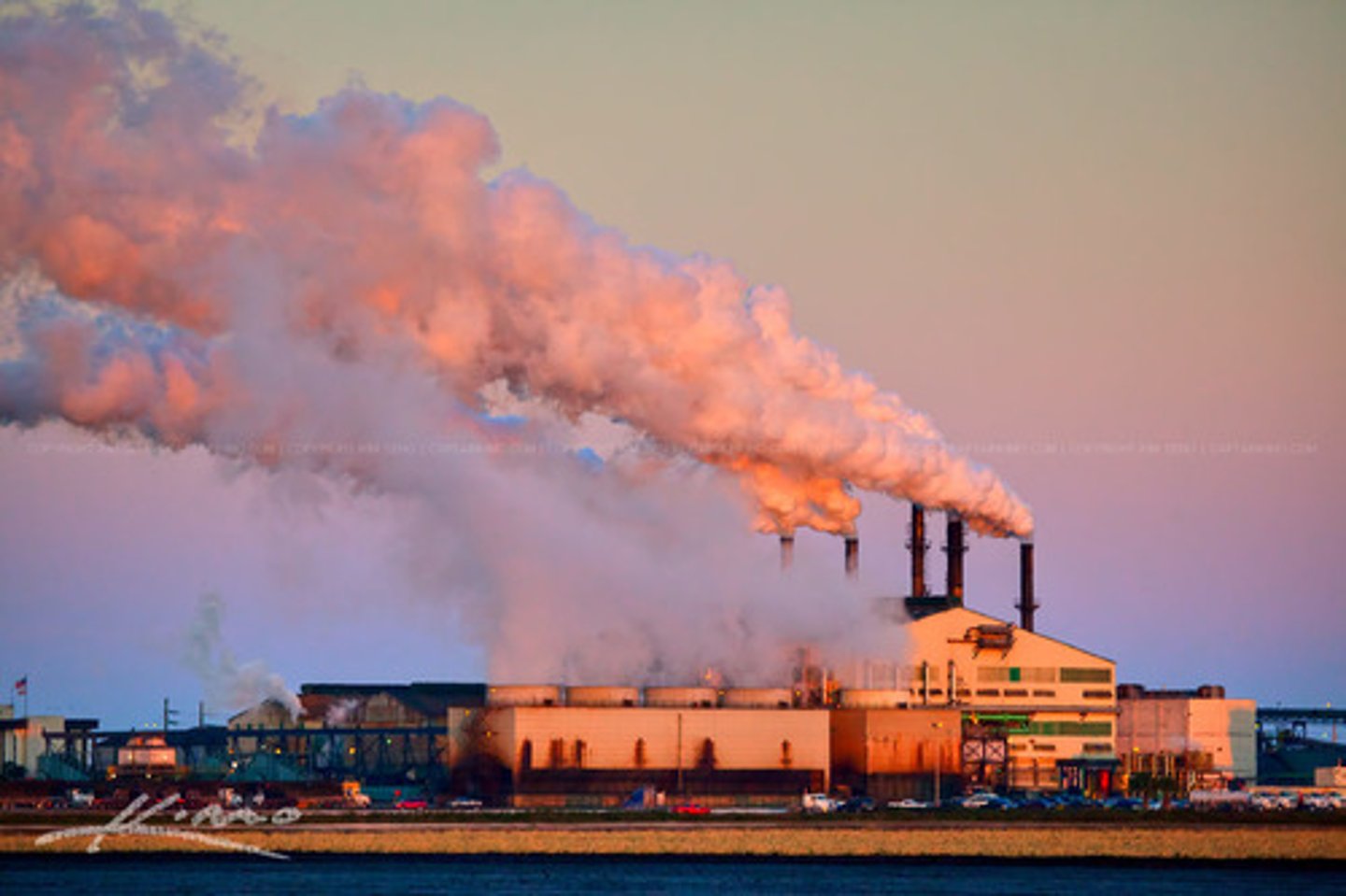 <p>pollution, contamination</p>