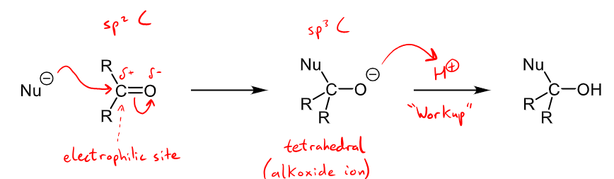 <ul><li><p>This could be the reduction of an aldehyde to a primary alcohol, H- is the nucleophile that bonds to the carbon, followed by a work up step where H+ reacts with the negatively charged oxygen. </p></li></ul><p></p>