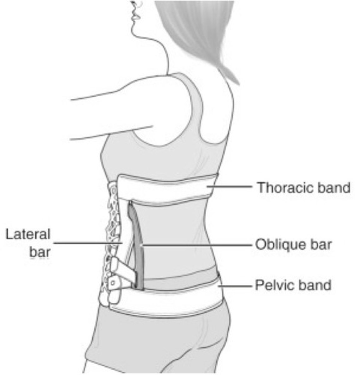 <p>promotes FL</p><p>limits EXT and lateral bending</p><p>hydrostatic compression</p><p>end point control (good control of lumbar spine)</p>