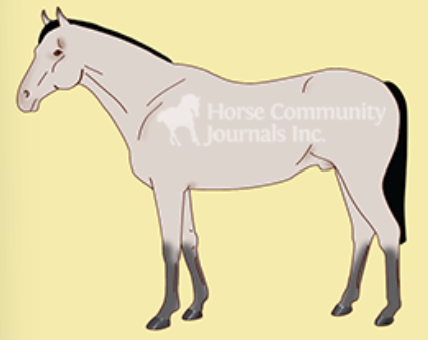 <ul><li><p><span style="background-color: transparent;"><span>For horses with thick coats</span></span></p></li><li><p><span style="background-color: transparent;"><span>the entire body, including face, head, legs, belly, and saddle area, is clipped. </span></span></p></li><li><p><span style="background-color: transparent;"><span>Is suitable for horses that will e kept in heavy work throughout winter and turned out in areas with dry footing</span></span></p></li></ul><p></p>