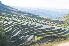 A form of farming used in the Inca Empire; divided the hills into terraces or flat steps almost like steps; they could then control the amount of water being put into those places; led to vastly improved agriculture for the Incas