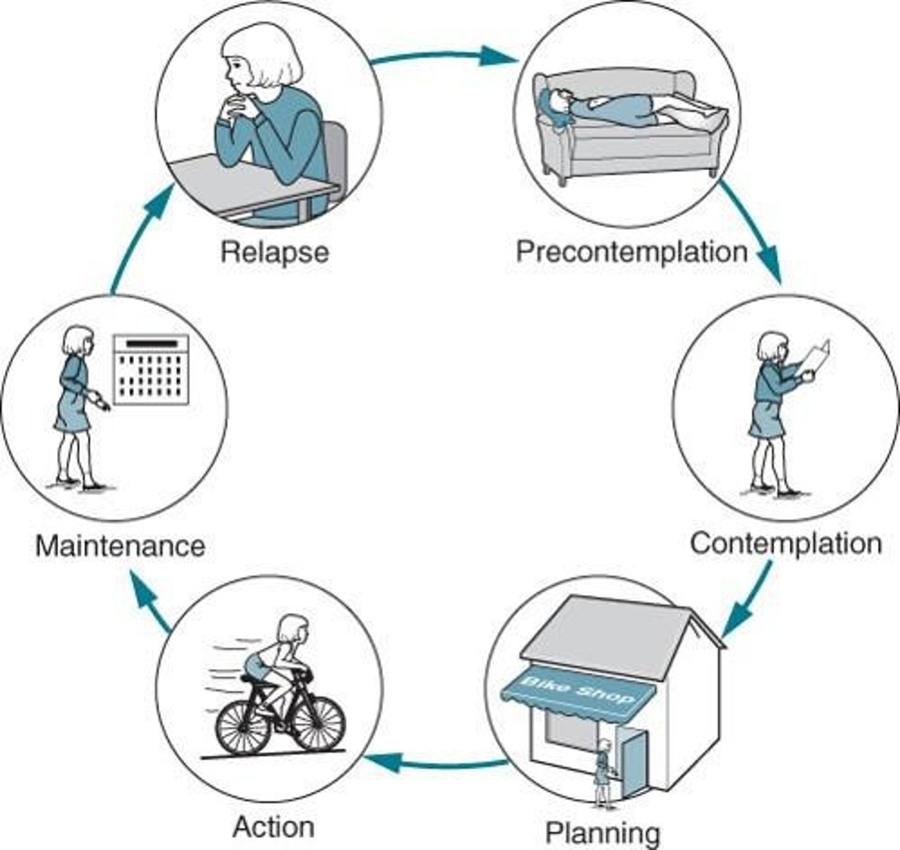 <p>- Precontemplation</p><p>- Contemplation</p><p>- Preparation (planning)</p><p>- Action</p><p>- Maintenance</p>