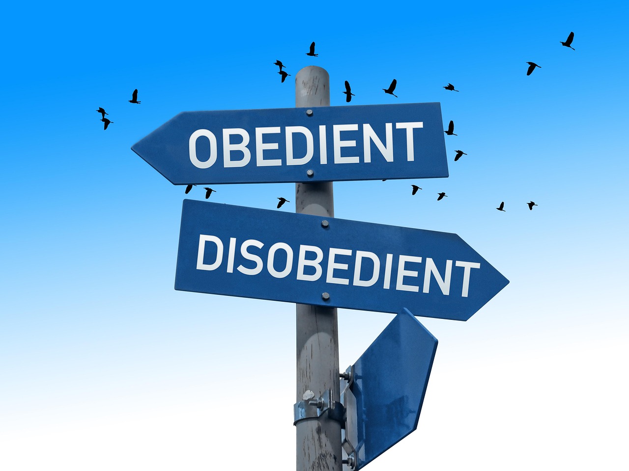 <p>Obedient</p><p>Innocent</p><p>Emotionally Vulnerable</p>