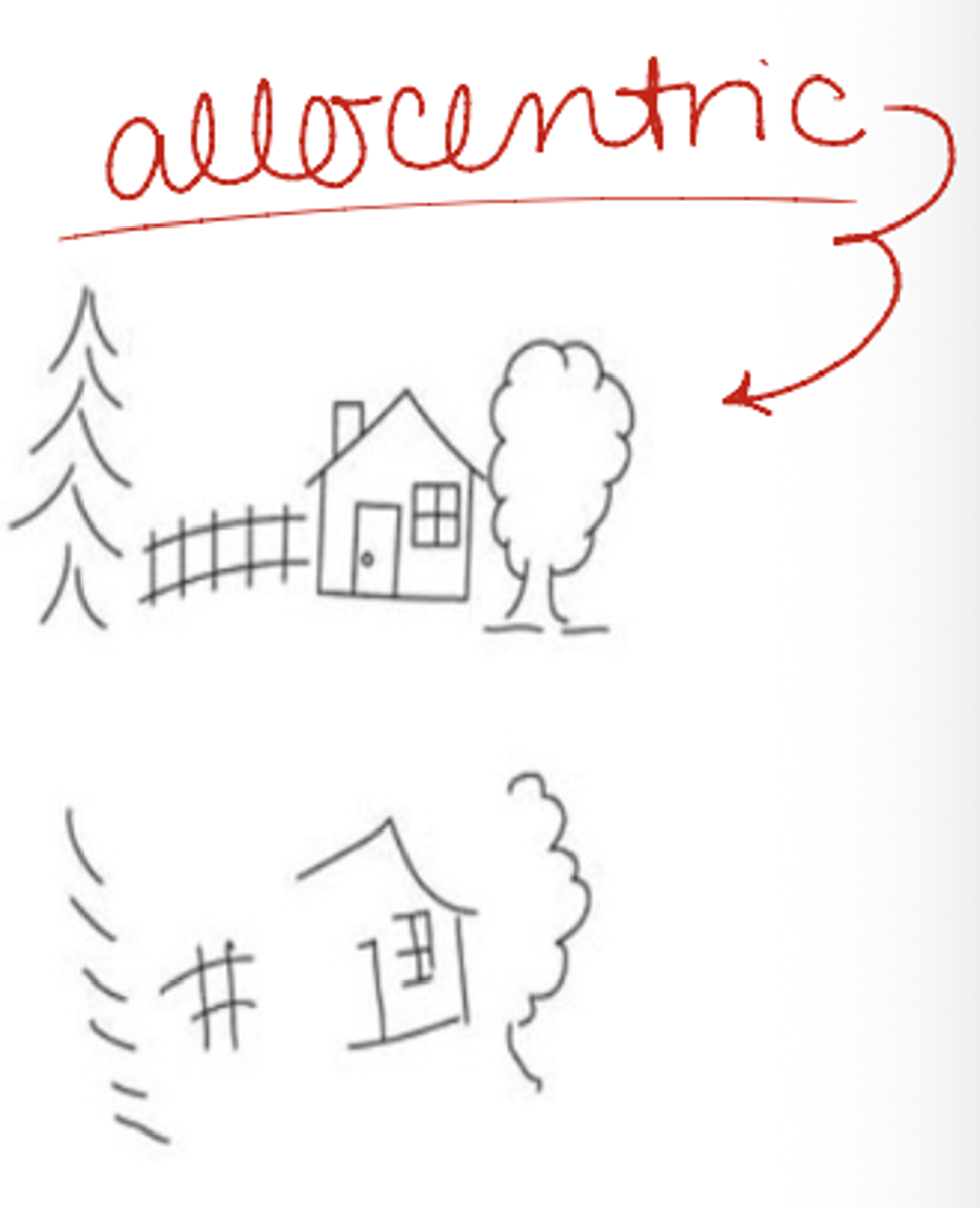 <p>stimulus-centered/object centered</p><p>- Errors on the L side of an object, regardless of position relative to the individual</p>