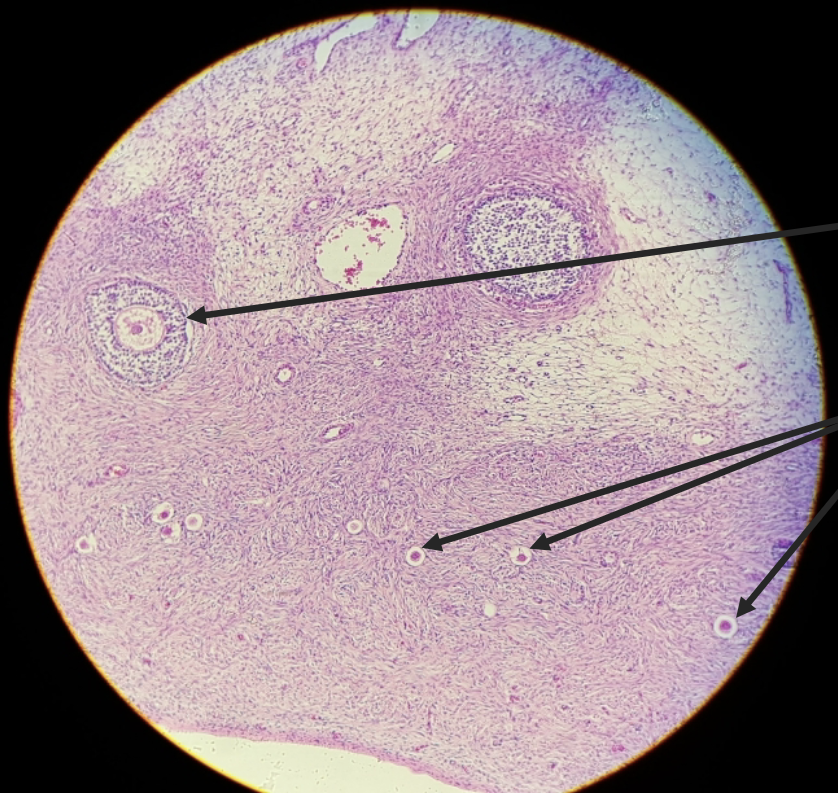 <p>what is this?</p>