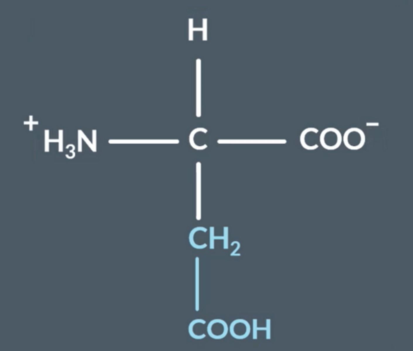 <p>Dipolar ions which have both a permanent positive and negative charge, but are neutral overall.</p>
