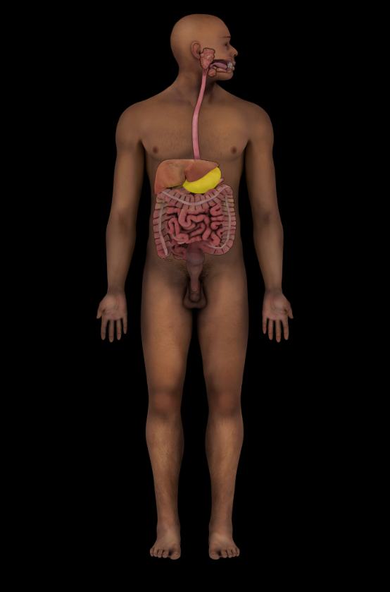 term image