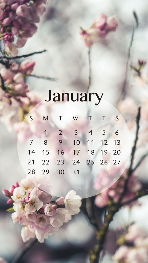 <p><span style="background-color: transparent; font-family: &quot;Times New Roman&quot;, serif;"><span>It’s </span><strong><span>in January</span></strong></span></p>