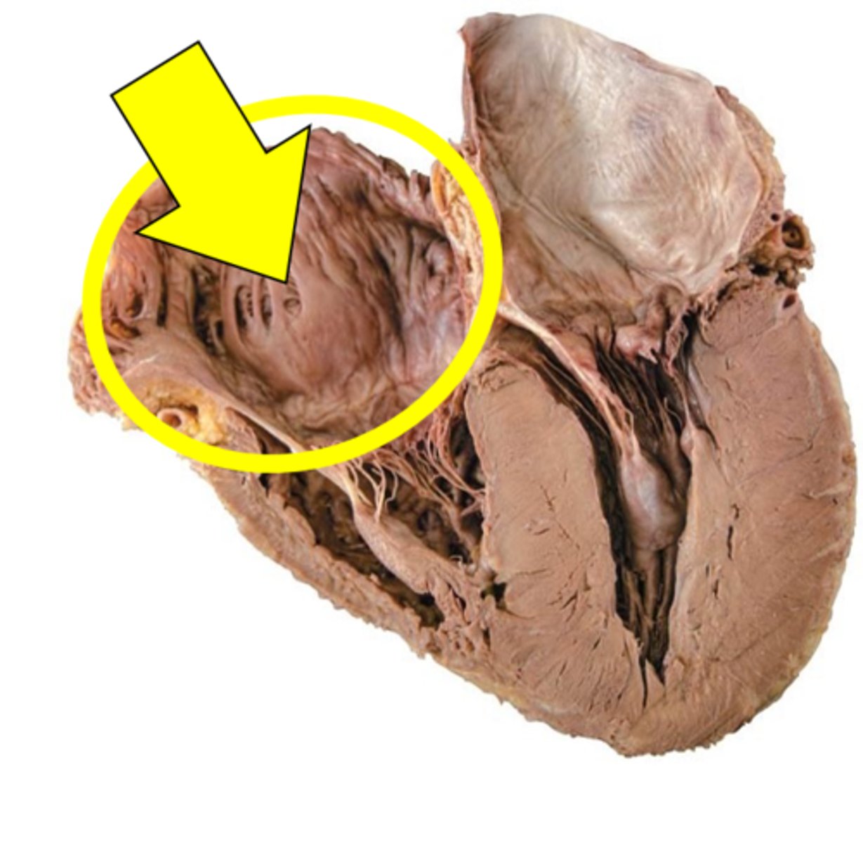 <p>Name the space.</p>