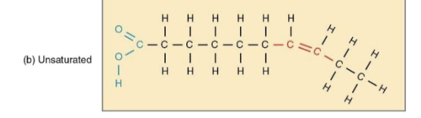 <p>has double bonds</p><p>causes structure to kink (bend or curve)</p><p>liquid at room temperature</p>