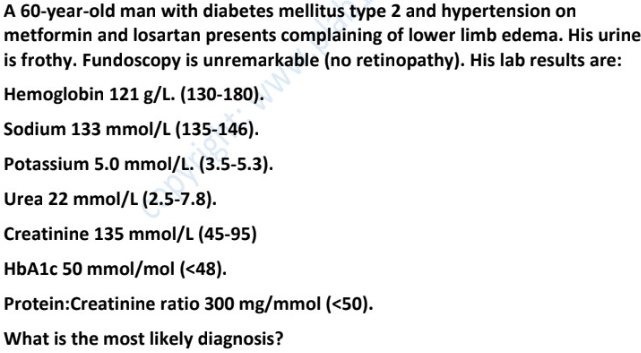<p>diabetic nephropathy/membranous nephropathy</p>