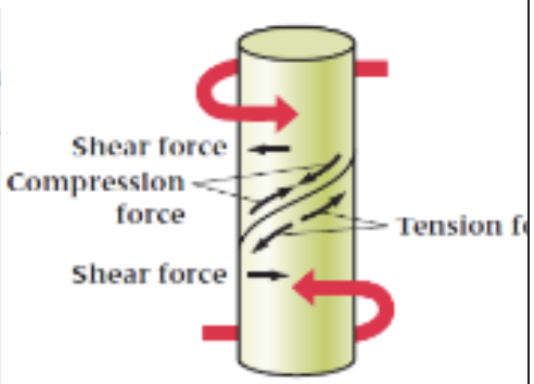 <p>refers to a twisting force that causes a bone to rotate around its axis.</p>