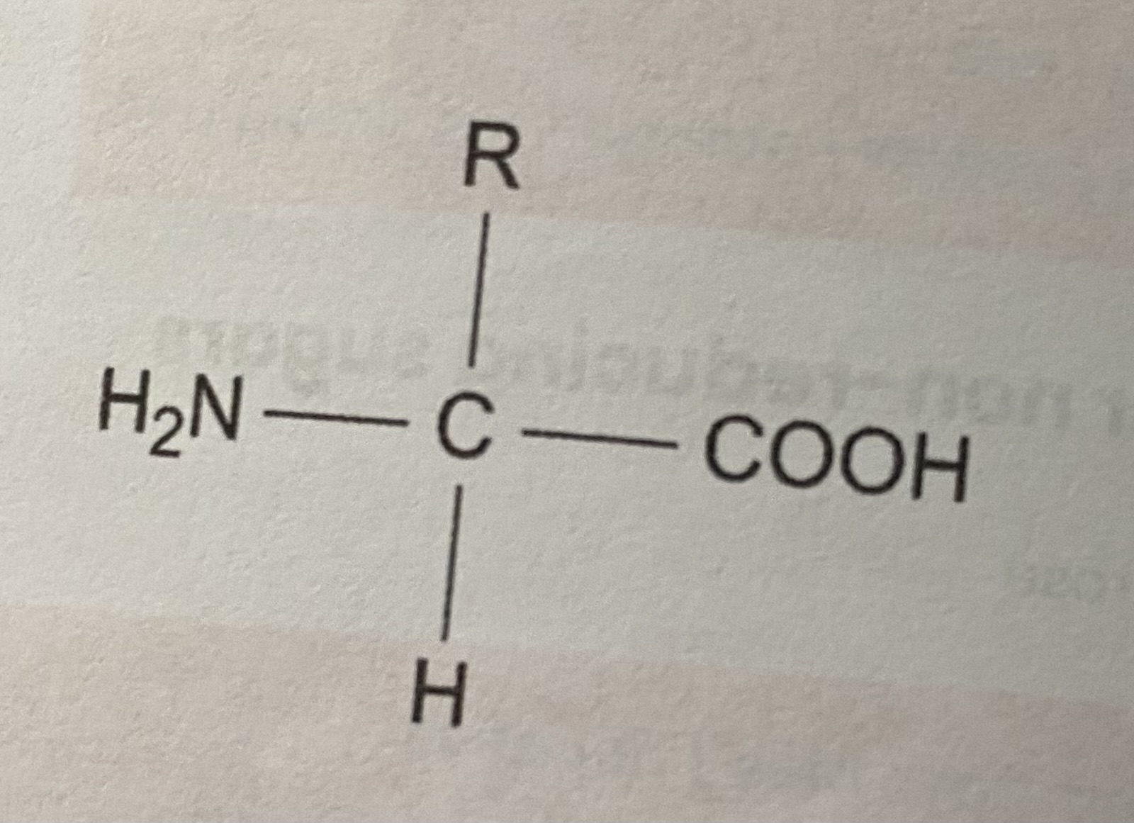 <ul><li><p><strong>COOH</strong>= carboxyl group </p></li><li><p><strong>R</strong>= variable group</p></li><li><p><strong>H2N</strong>= <strong>amine</strong> group </p></li></ul><p></p>