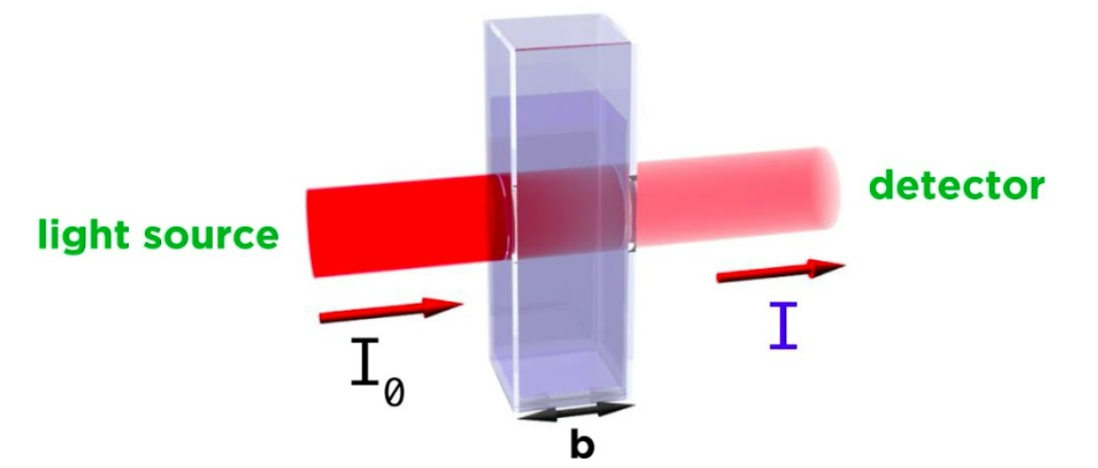 <p>The absorbance [of light waves] of a chemical is defined by the equation A = εbC (where A is absorbance often within the interval 0 < A < 1, ε is the molar absortivity constant, b is the path length of the curette in cm [if not indicated, it is assumed to be 1cm], and C is the concentration of the chemical in <em>M</em> or m/L). Experimentally, this can be demonstrated by placing a substance in a curette and targeting a specific frequency of light at it to measure its absorbance factor.</p>