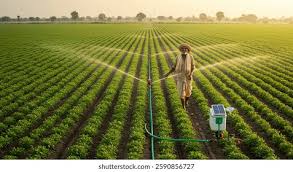 <p>  Irrigation system</p>