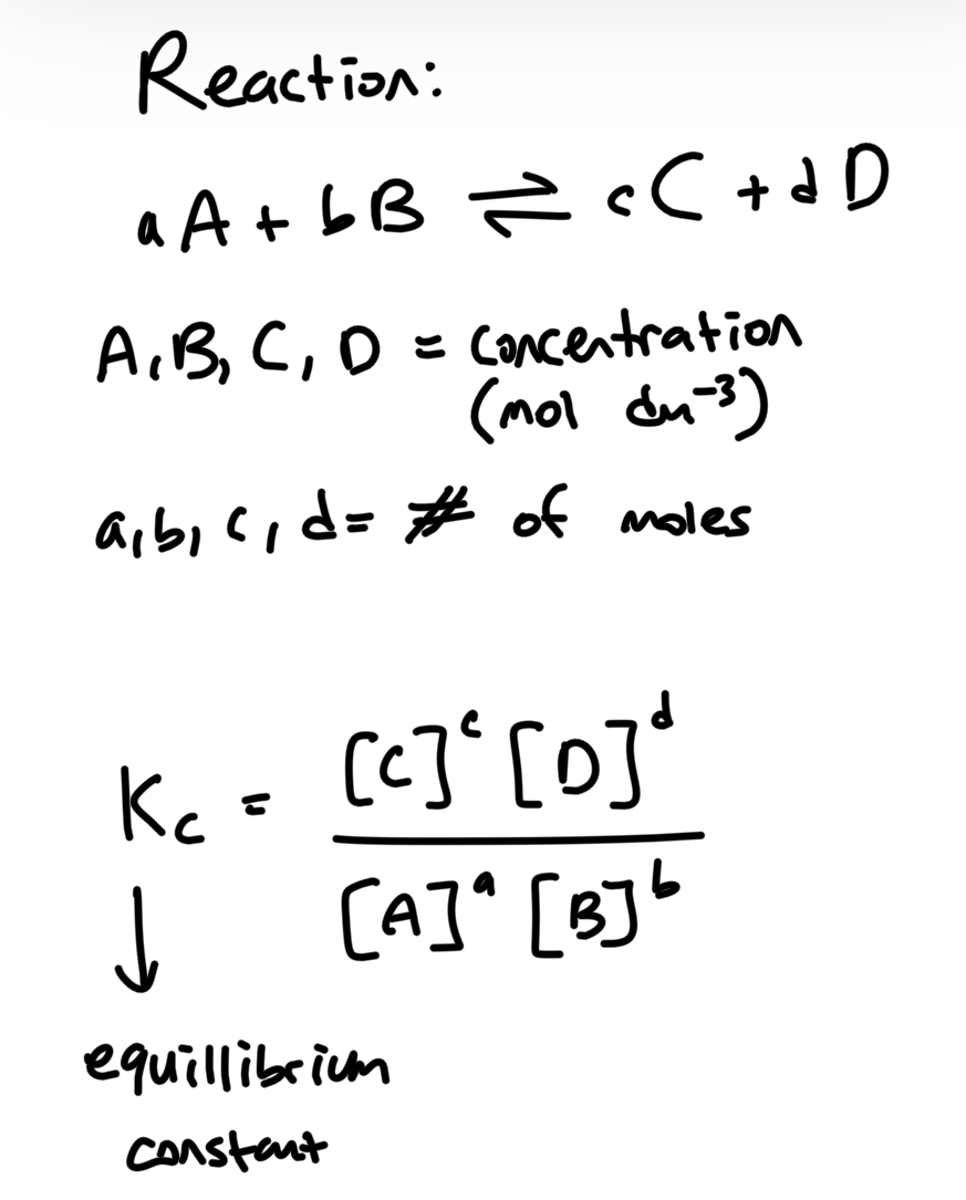 <p>Excluded: Solids (s) and pure liquids (no solutes in it. their concentraiton is constat) <br>Included: only gas and aqueous because those are the ones that affects concentration</p>