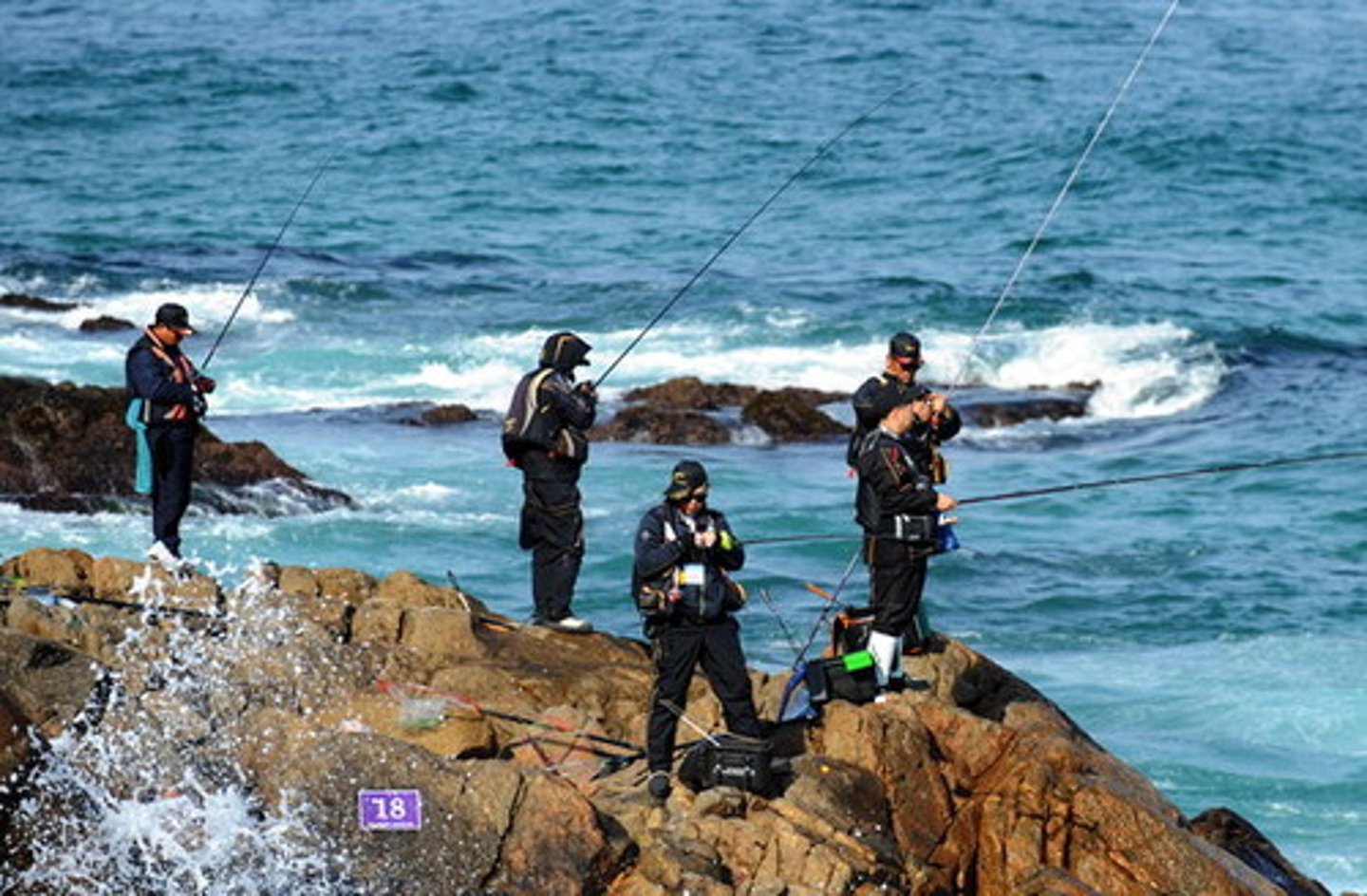 <p>câu cá ở biển</p>