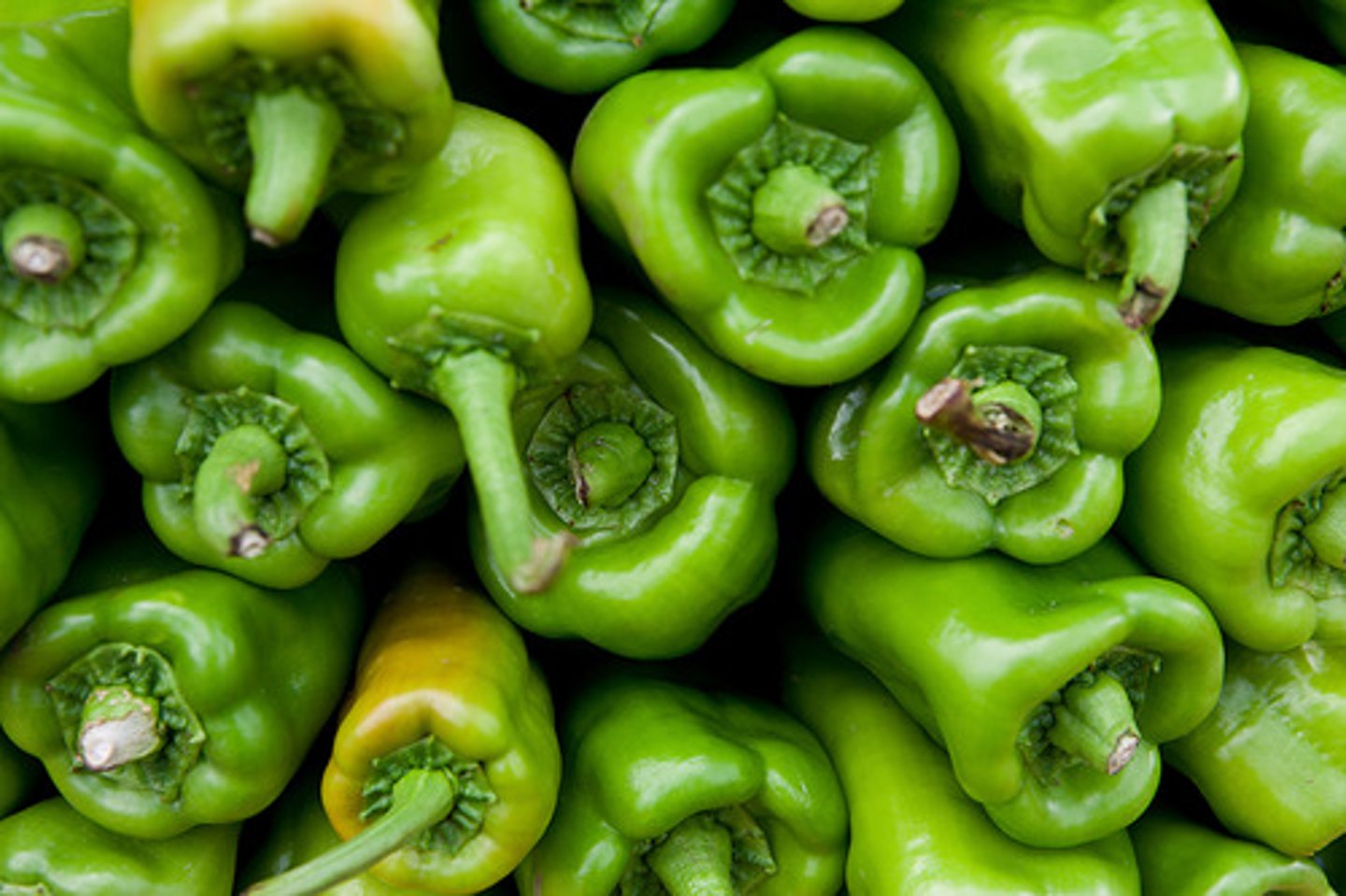 <p>green pepper</p>