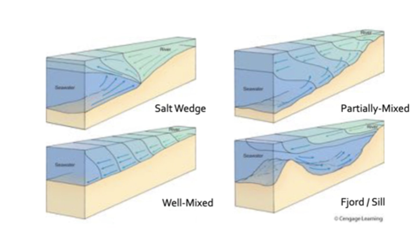 <p>this is based on circulation patterns of salt and fresh water (not on shape)</p><p>salt wedge</p><p>partially mixed</p><p>vertically (well) mixed</p><p>stratified</p>