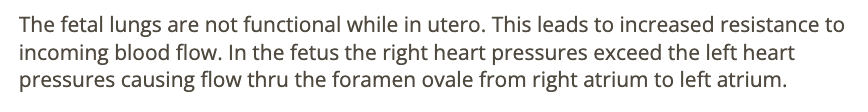 <p>c) right to left atrium</p>