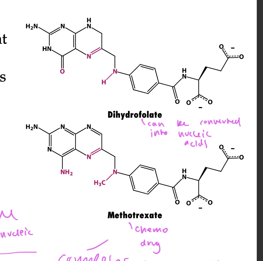 <ul><li><p>a competitive inhibitor and chemo drug</p></li><li><p>competes with dihydrofolate (the substrate) to inhibit nucleotide synthesis</p></li><li><p>basically outcompetes the dihydrofolate so that new nucleotides cannot be made by the enzyme and slows down cell division for a cancer pt to defeat the tumor</p></li><li><p>but also leads to side effects since your other cells can’t divide either, makes you feel ill</p></li></ul><p></p>