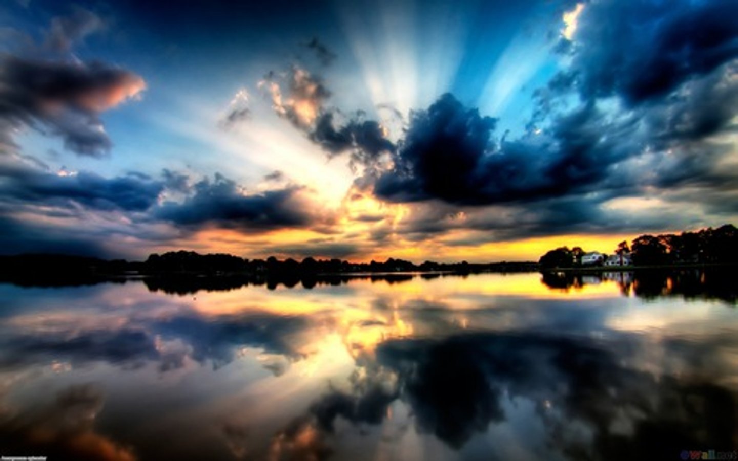<p>most beautiful</p>