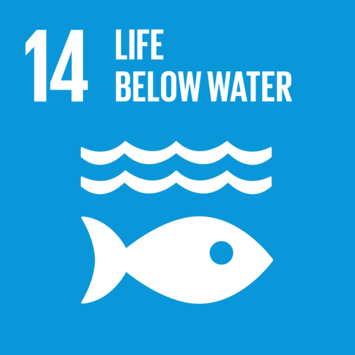 <p>Life Below Water</p><p>Aims to conserve and sustainably use the oceans, seas and marine resources for sustainable development.</p>