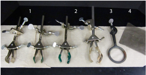 <p>What is the name of 1?</p>