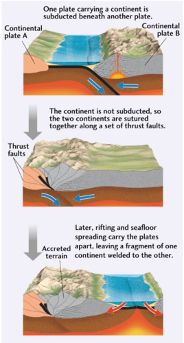 <p>through <strong>magmatic</strong> <strong>addition</strong> and <strong>terrane</strong> <strong>accretion</strong></p><ul><li><p>magmatic addition = low-density, silica-rich rock differentiates in mantle and rises as felsic material to crust (cools and adds new crust)</p></li><li><p>terranes accretion = small crustal fragments transported by plate boundaries, colliding and merging with continents (sutured)</p></li></ul>