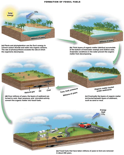 <p>Extracted from deep wells on land/seafloor. Formed millions of years ago</p><ul><li><p>Anaerobic conditions slow decomposition</p></li><li><p>Pressure/heat convert vegetation to fossil fuel</p></li></ul><p>Composed of </p><ul><li><p>Nitrogen compounds</p></li><li><p>Oxygen compounds</p></li><li><p>Sulfur compounds (e.g. toxic Hydrogen Sulfide (H2S)) </p></li><li><p>Heavy metal contaminants (Fe, Ni, Cu, Cr, V, etc.)</p></li><li><p>Hydrocarbons (the vast majority):</p></li></ul><p></p>