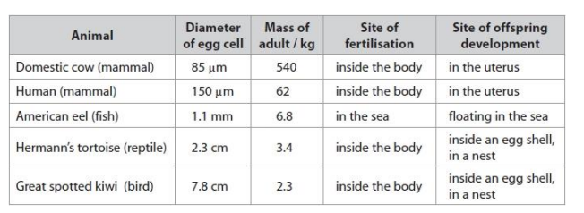 <p>Criticise this data set as evidence for a relationship between egg cell diameter and the mass of the adult. (4)</p>