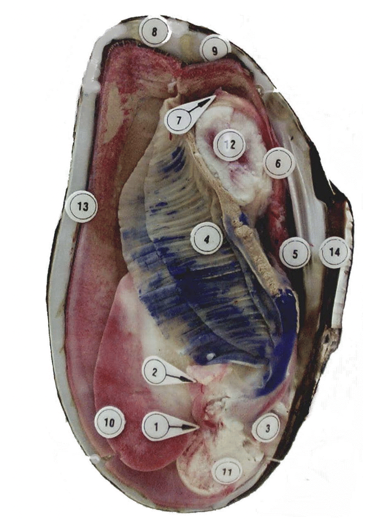 label 1,2,4,6,8,9,10,11,12,14