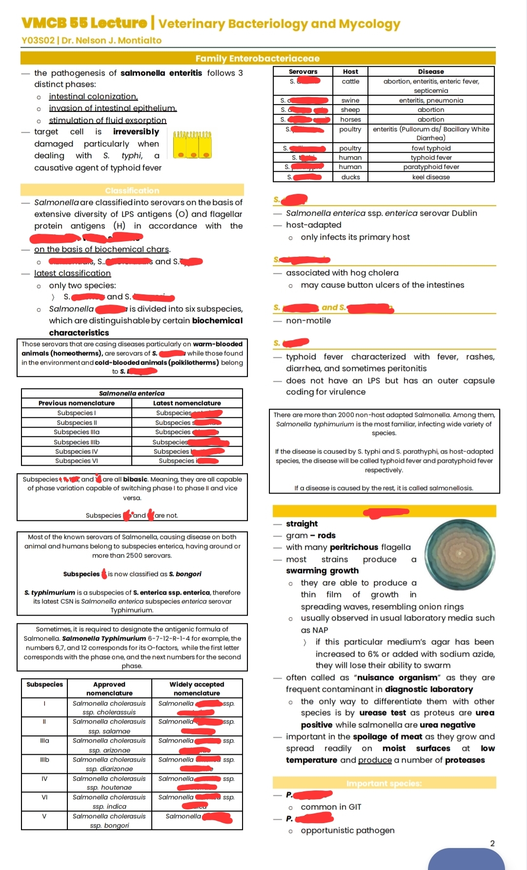 knowt flashcard image