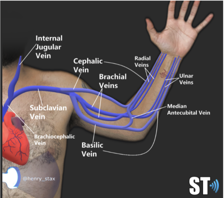 <p>What is the UEV mapping protocol for UEV DVT assessment and UEV superficial vein mapping.</p>