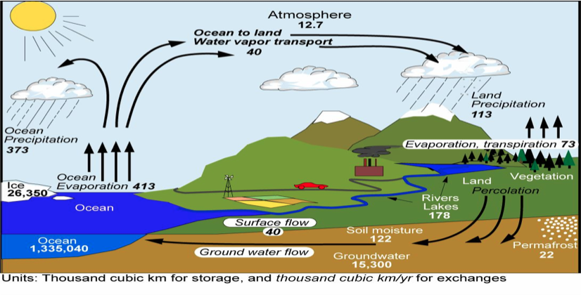 <p>water is constantly cycled between different stores </p>