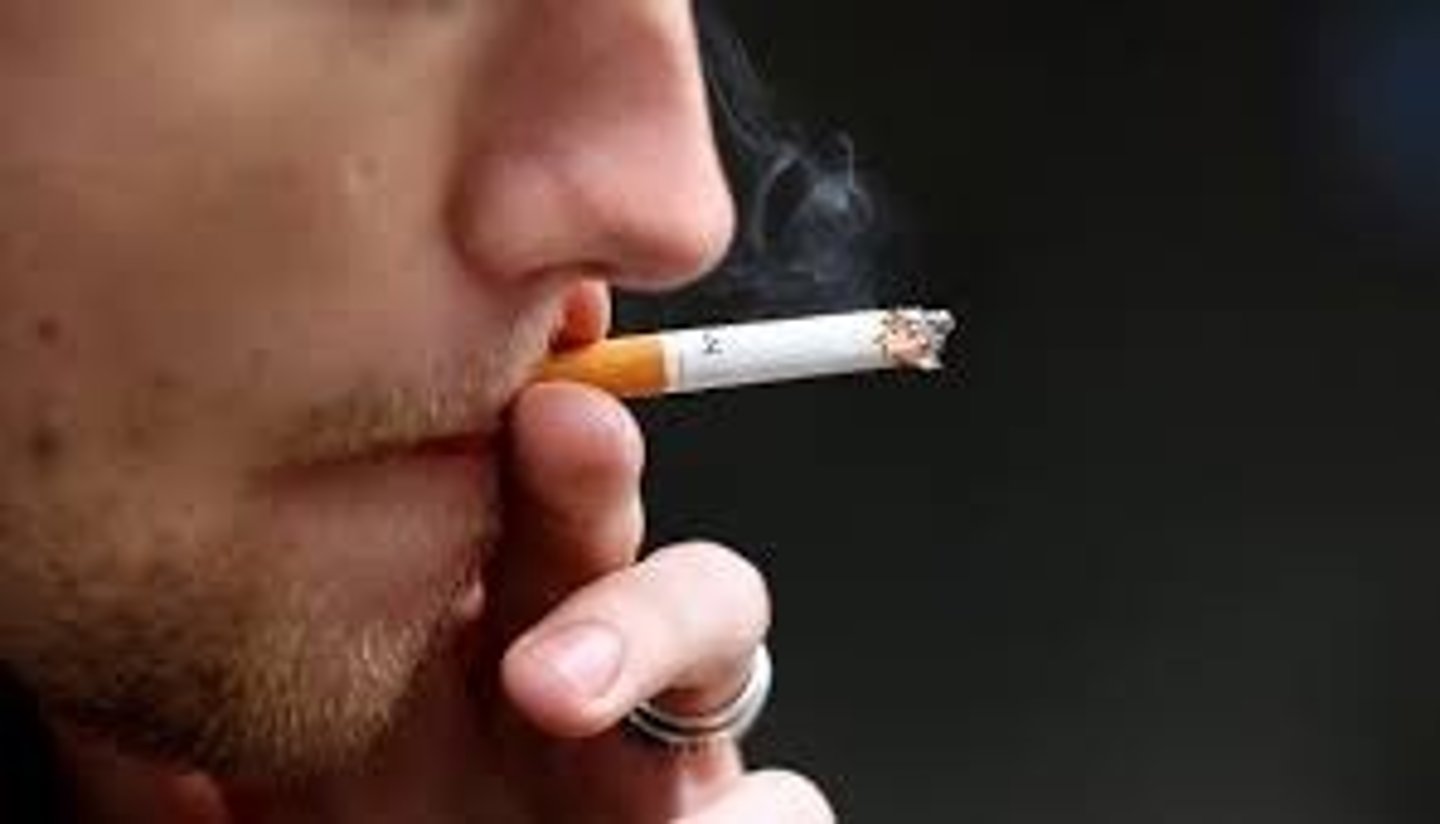 <p>Cigarette smoke - main cause</p><p>Genetic factors</p><p>Air pollution</p><p>Burning fossil fuels</p><p>Smoking incessance</p><p>Working in a dusty environment</p>