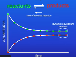 <ul><li><p>The forward and backward reactions are taking place simultaneously </p></li></ul><p></p>