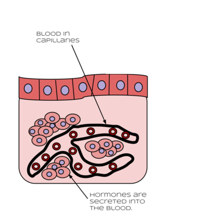 Can you describe what this is?