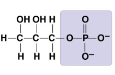 What molecule is this?