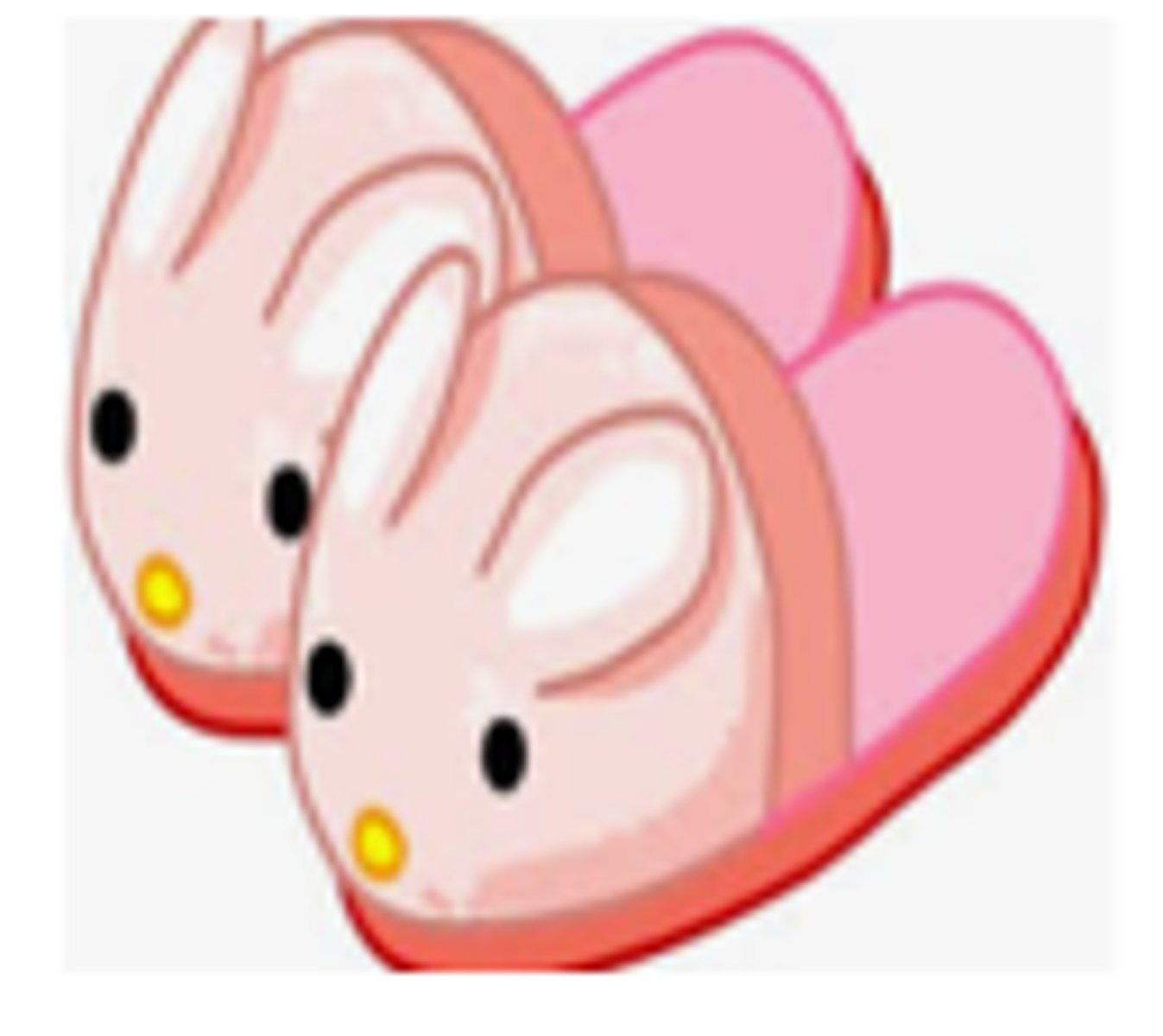 <p>house slippers</p>